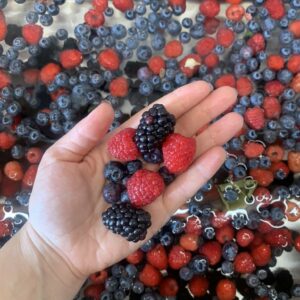 Composta di Frutti di bosco 220g - immagine 2