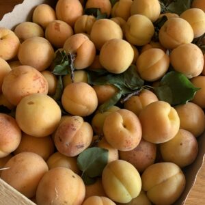 Composta di  Albicocca Pellecchiella 220g - immagine 3